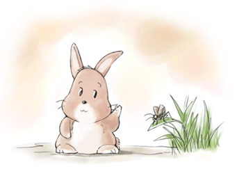 うさぎ